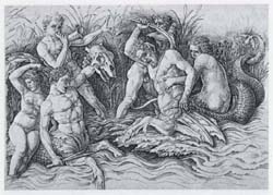 Mantegna 