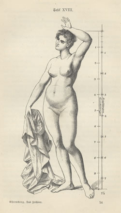Proportionen des nacktem weiblichen K�rpers